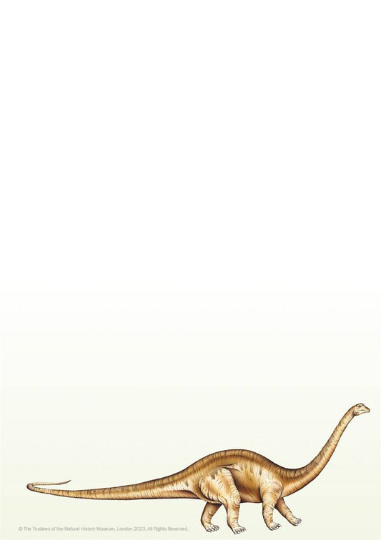 Museums & Galleries - Diplodocus - Writing Set