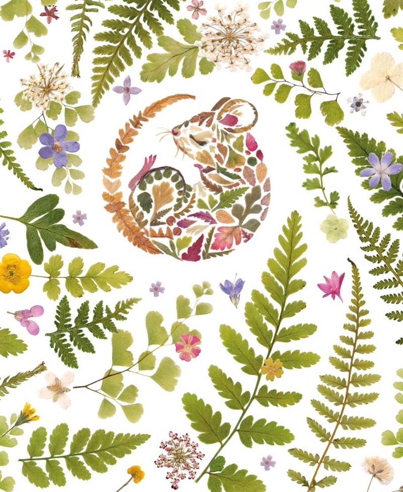 Museums & Galleries - Cousy Mouse - Card