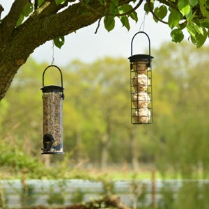 Bird Feeder Black Seed