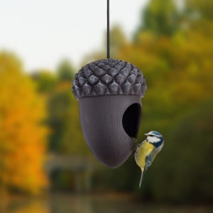 Acorn Bird House