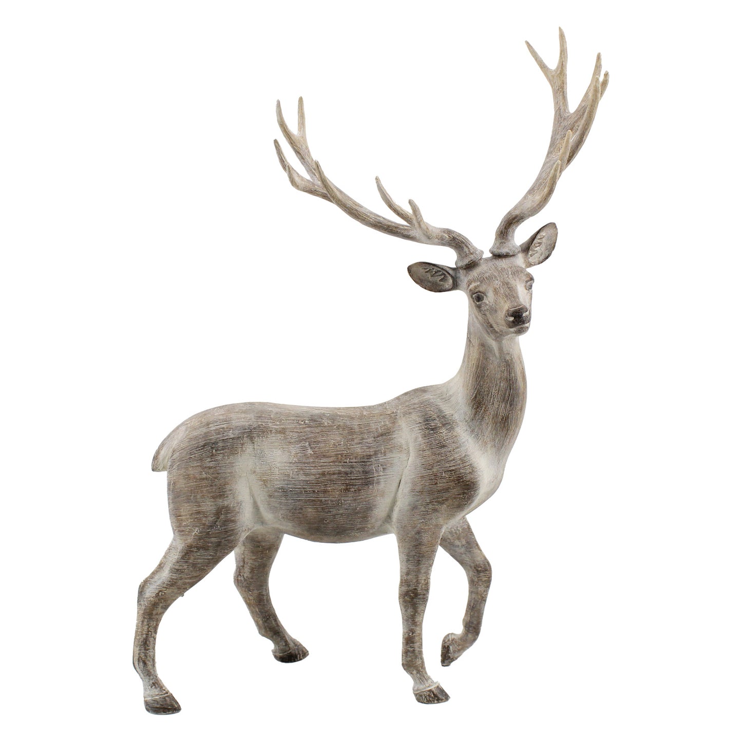 Standing Deer