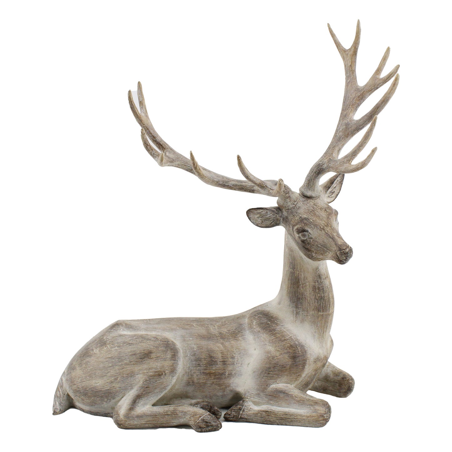 Sitting Deer