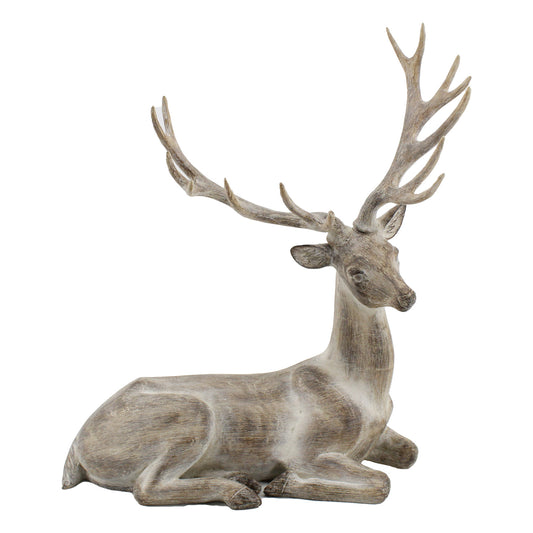 Sitting Deer