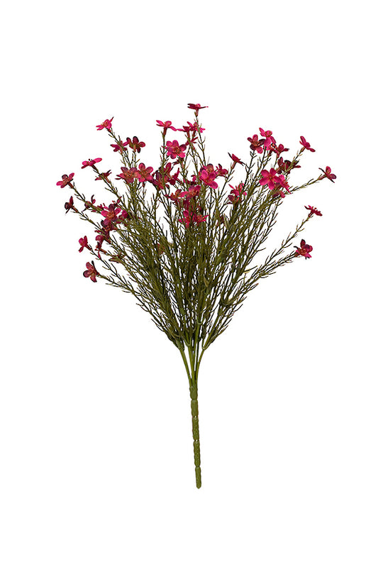 Wax Flower Bush 40cm