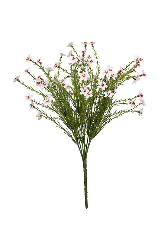 Wax Flower Bush 40cm
