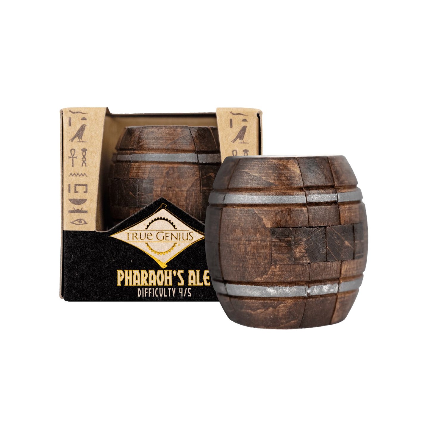 Project Genius Mini Brainteasers