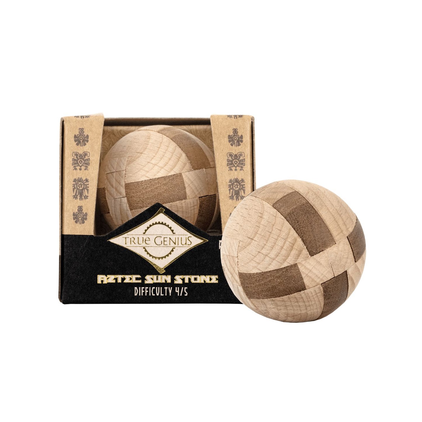 Project Genius Mini Brainteasers