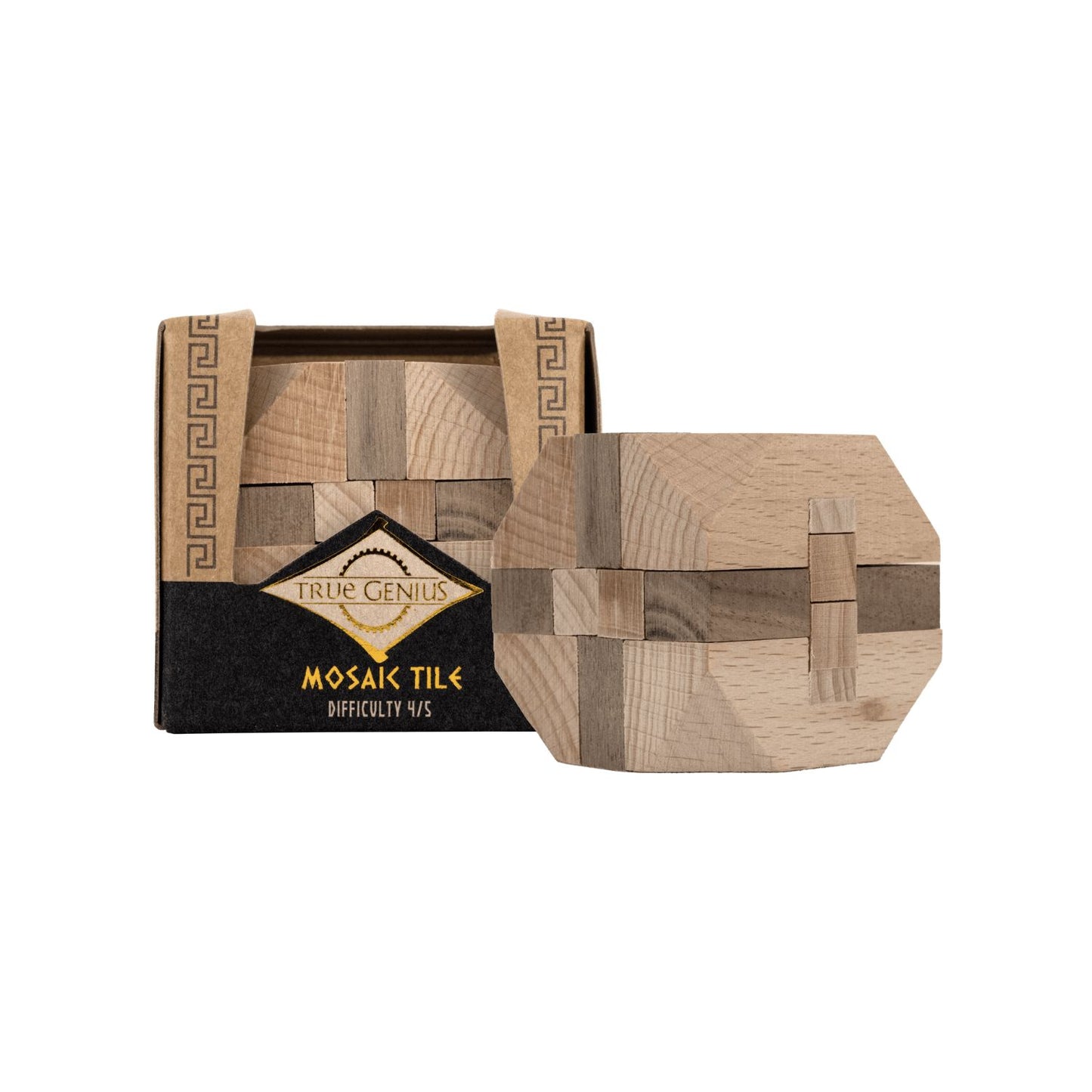 Project Genius Mini Brainteasers