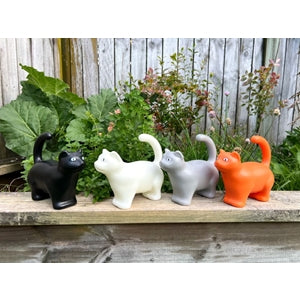 Watering Can Cat ass.
