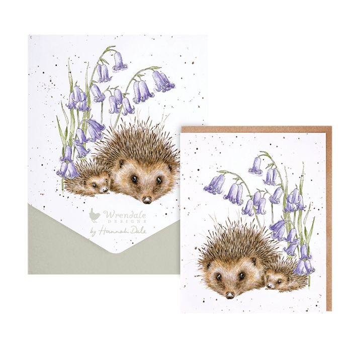 'New Beginnings' Hedgehog Card Pack