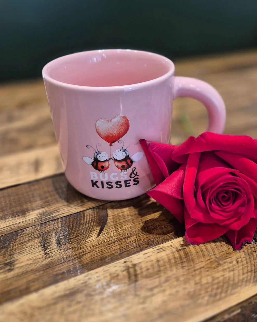 Bugs & Kisses Mug