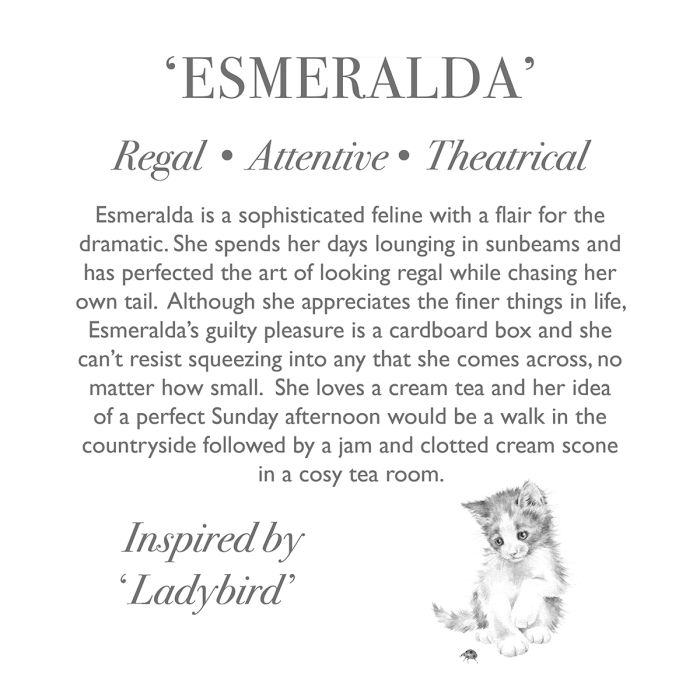 'Esmeralda' Cat Character