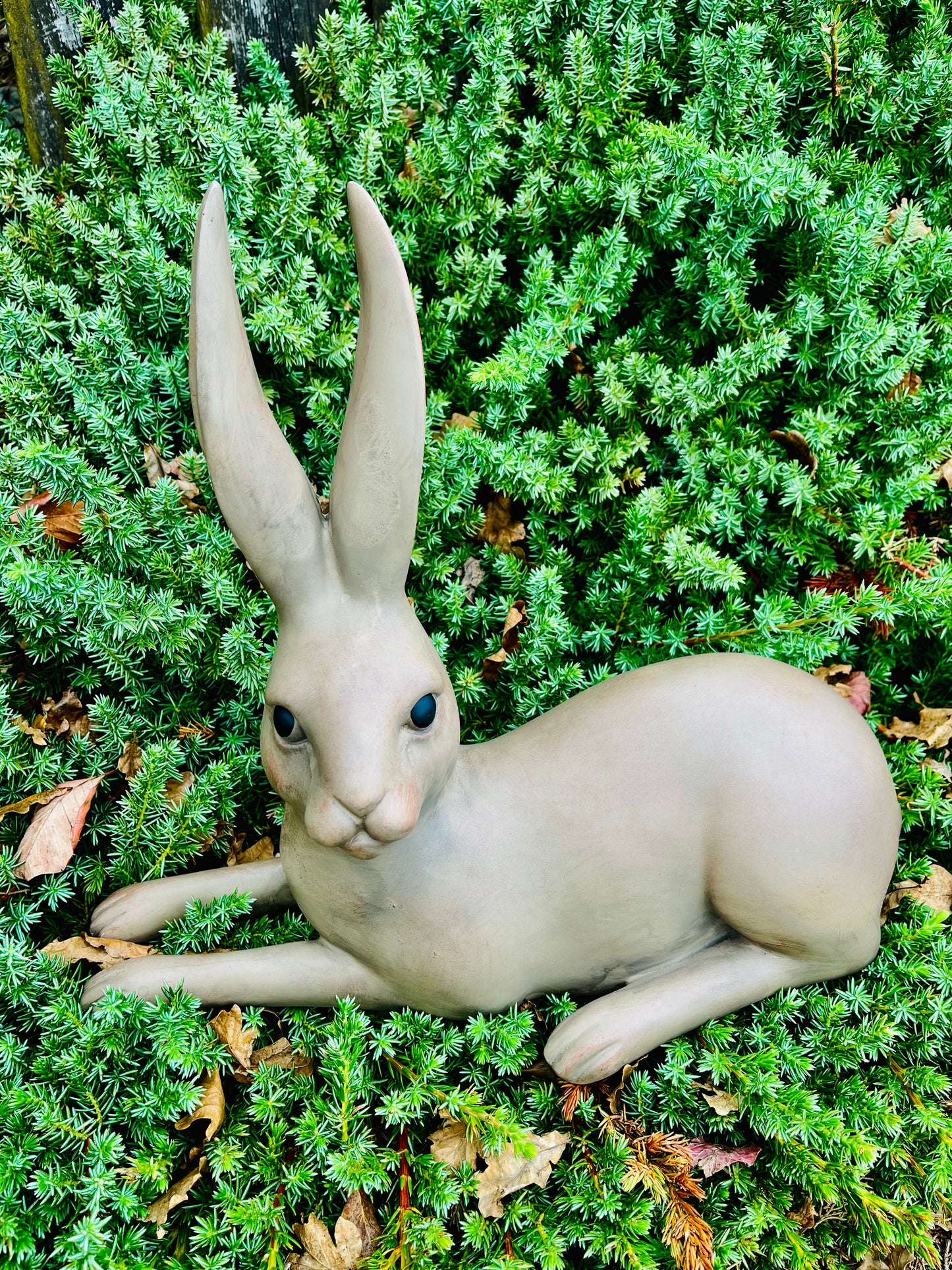 Harold the Hare Lying Brown