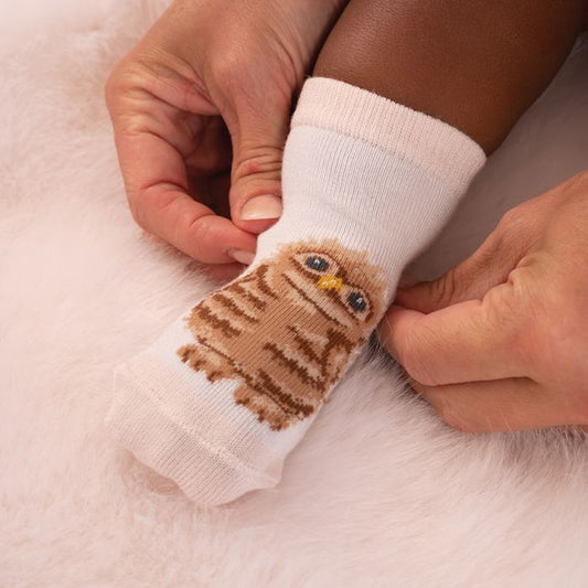 Wrendale 'Little Forest' Woodland Animal Baby Socks