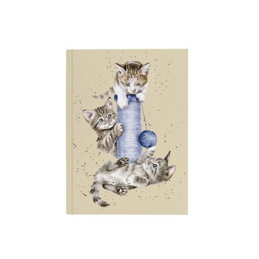 'Three's a Crowd' Cat A6 Notebook