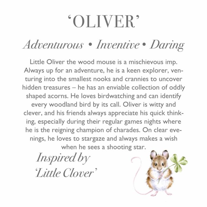 'Oliver' Mouse Character