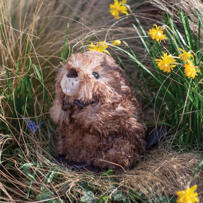 'Chester' Beaver Character