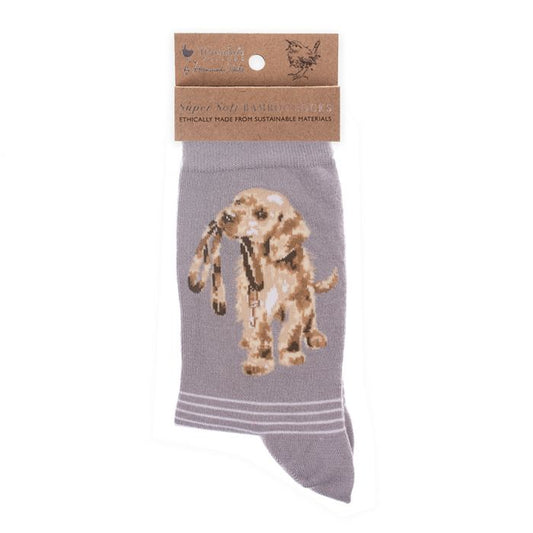 Wrendale 'Hopeful' Labrador Socks