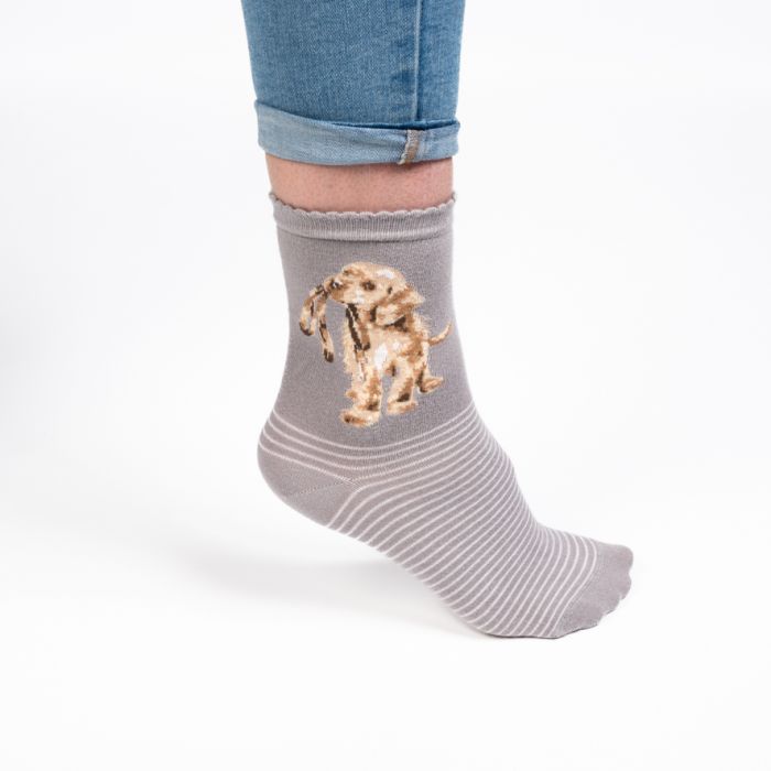 Wrendale 'Hopeful' Labrador Socks
