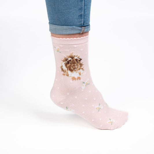 Wrendale 'Grinny Pig' guinea pig Socks