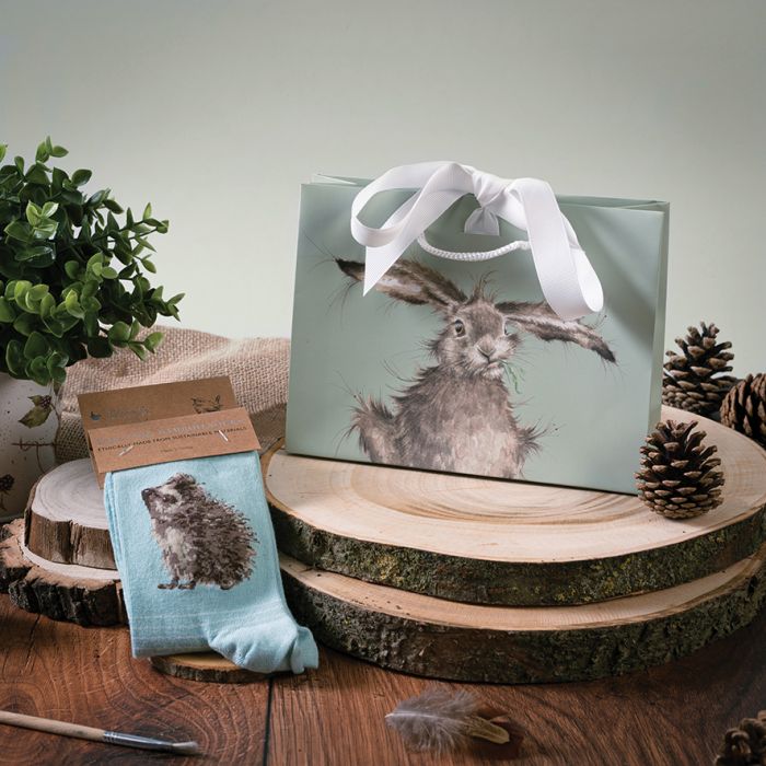 Wrendale 'Hedgehugs' hedgehog Socks