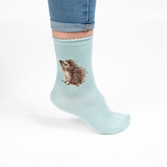Wrendale 'Hedgehugs' hedgehog Socks