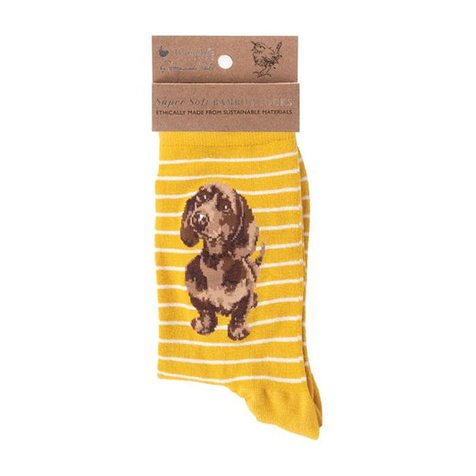 Wrendale 'Little One' dachshund Socks