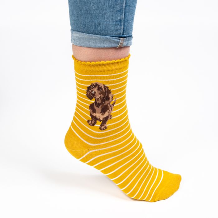 Wrendale 'Little One' dachshund Socks