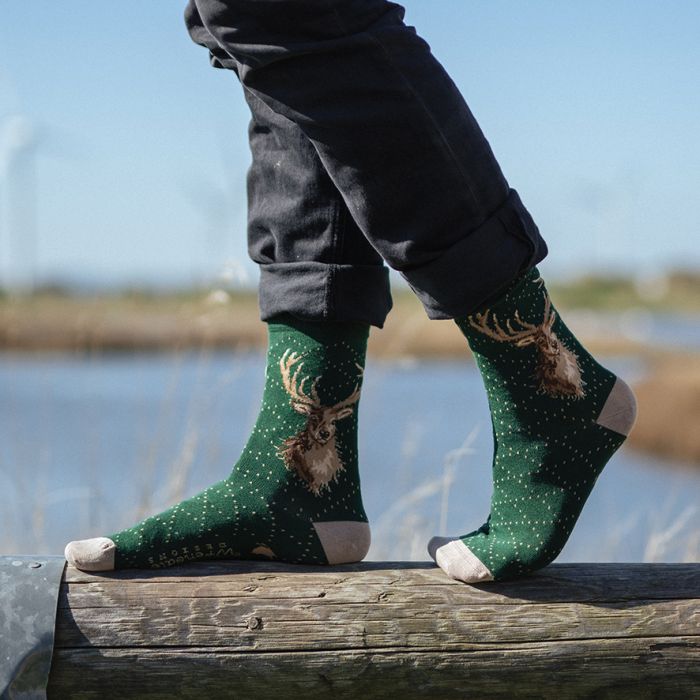 Wrendale 'PORTRAIT OF A STAG' STAG MEN'S SOCKS