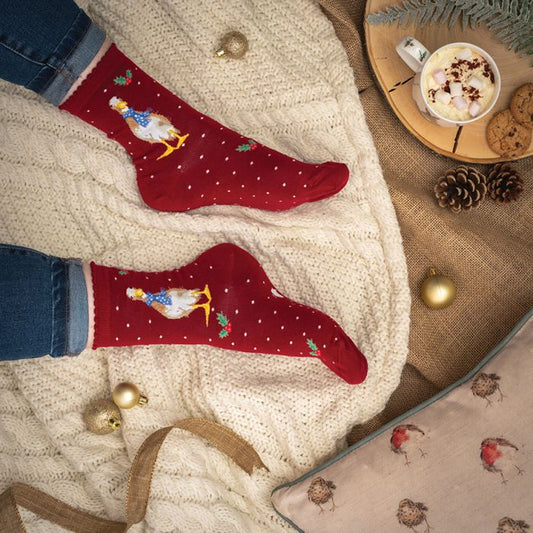 Wrendale 'Christmas Scarves' duck socks
