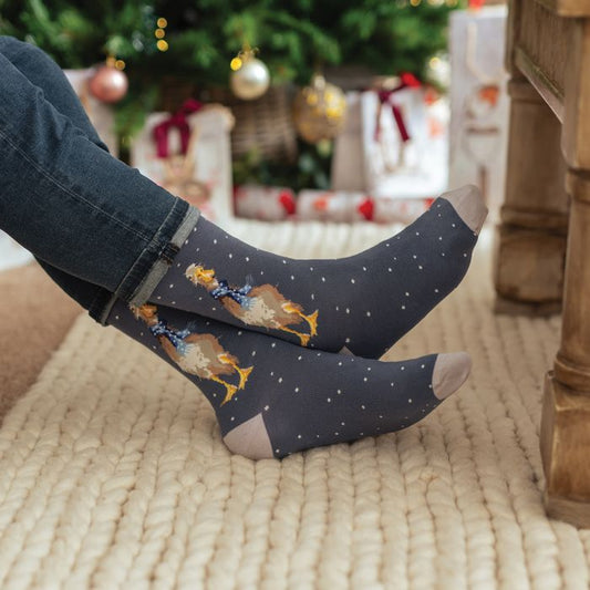 'Christmas Scarves' duck Men's Socks