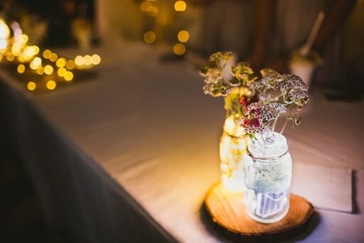 2M battery seed lights