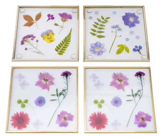 Potting Shed pressed flower coasters