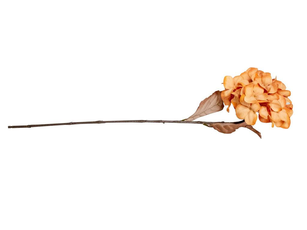 Dried Look Hydrangea