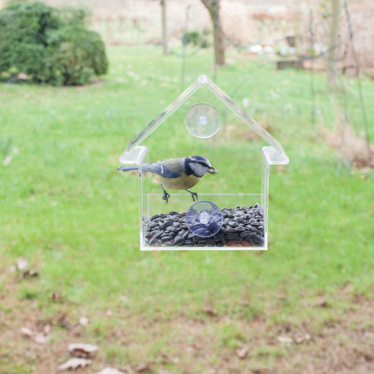 Acrylic Window Feeder