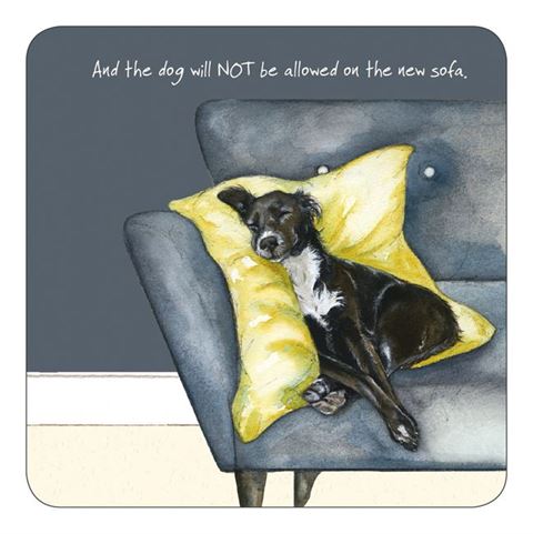 Little Dog Laughed - The Dog Will Not Be Allowed On The New Sofa - Coaster