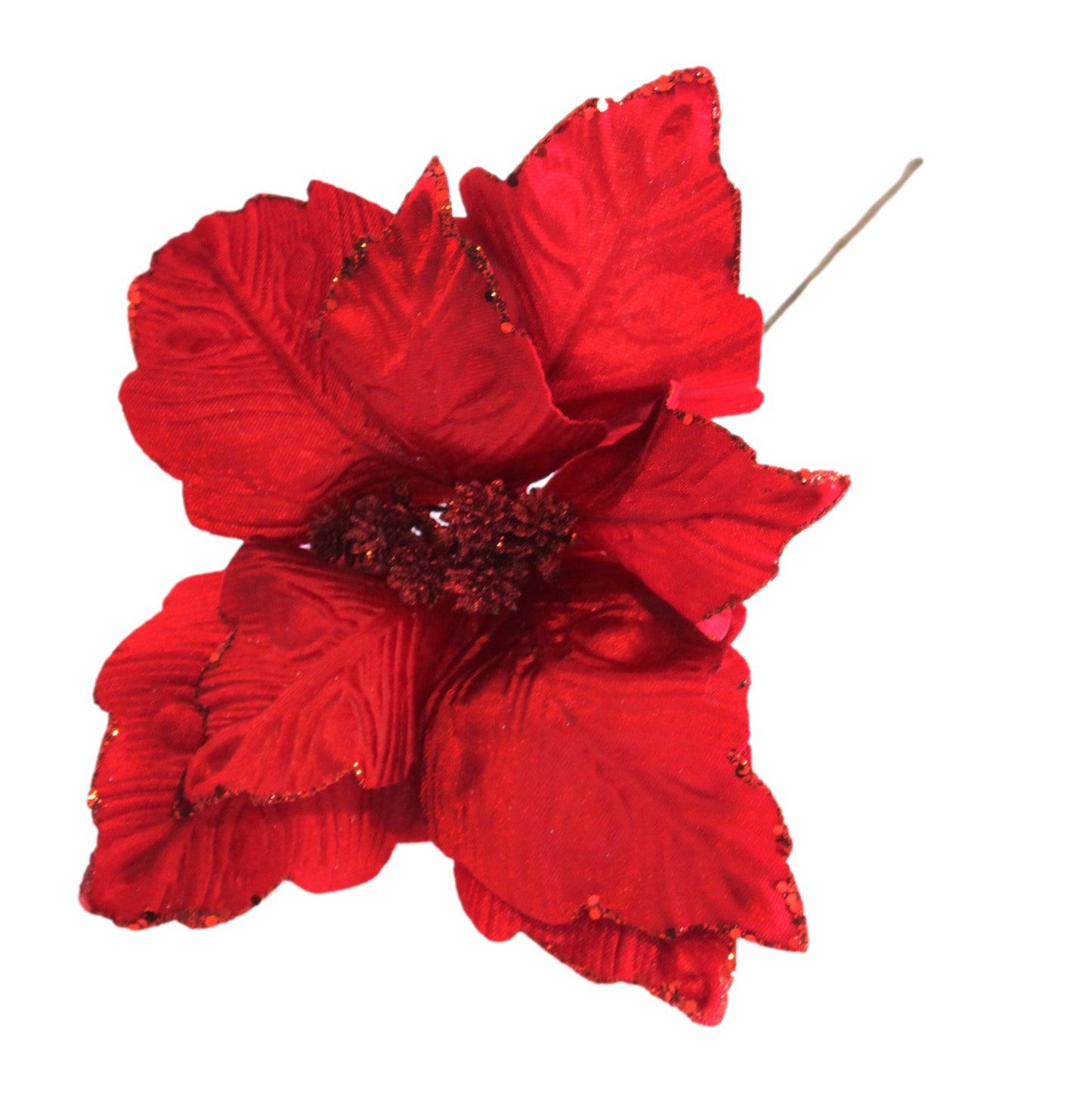 Poinsettia – Red Velvet