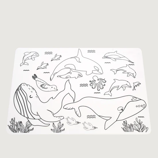 Moana Road Colour-In Placemats Animals of Aotearoa