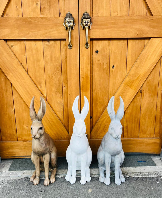 Harold the Hare | White