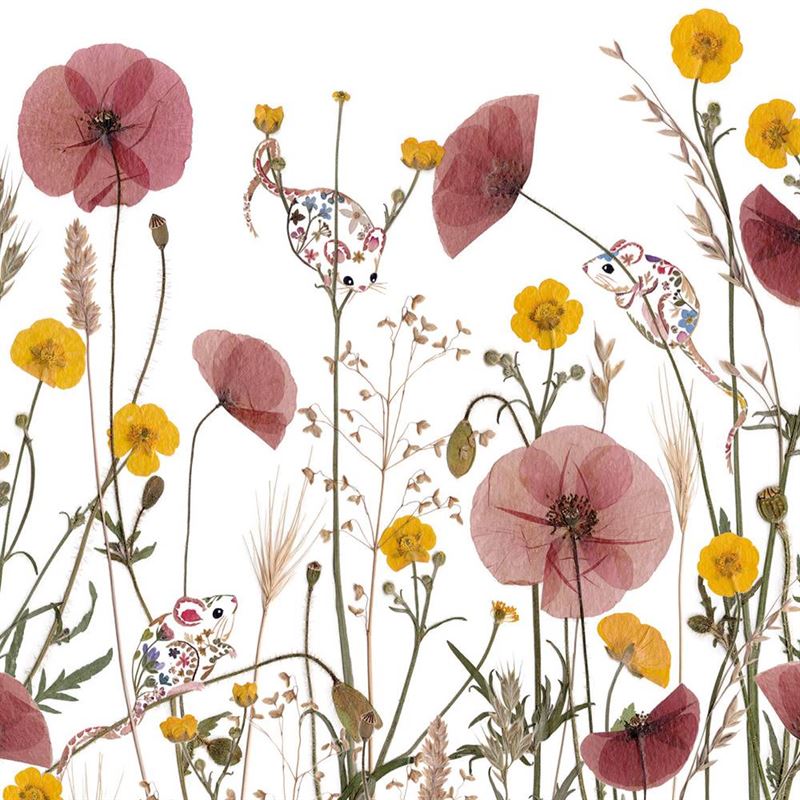 Museums & Galleries - Hedgerows 8 Pkt - Notecards