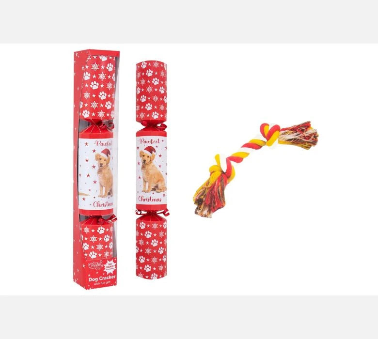 Pet Dog Christmas Cracker 14in