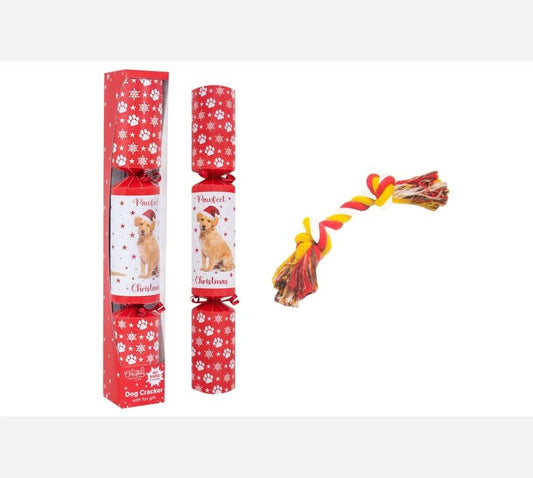 Pet Dog Christmas Cracker 14in
