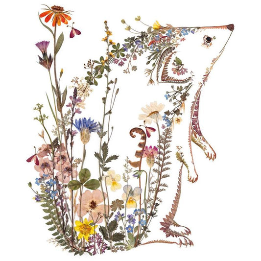 Museums & Galleries - Hedgerows 8 Pkt - Notecards