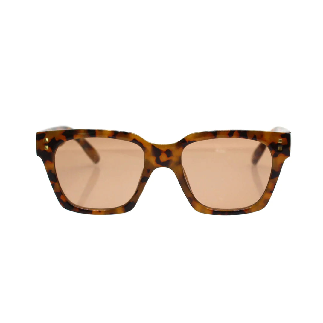 Reality Eyewear | Anvil Turtle