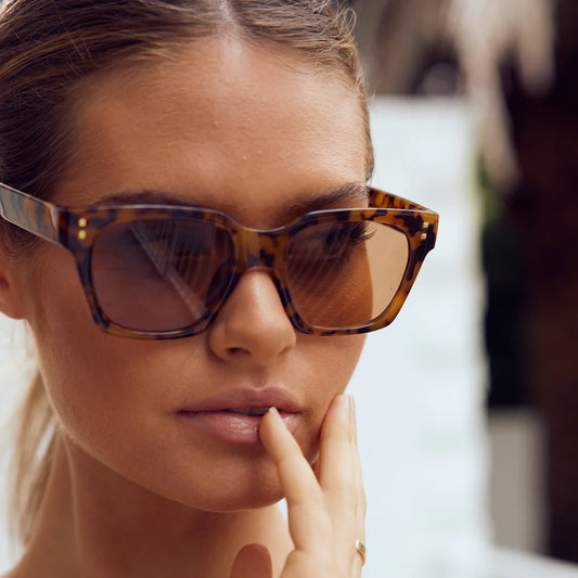 Reality Eyewear | Anvil Turtle