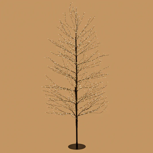 Black Willow Tree