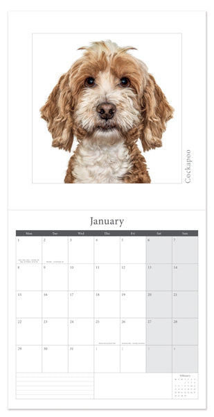 Gruff Pawtraits Calendar 2024