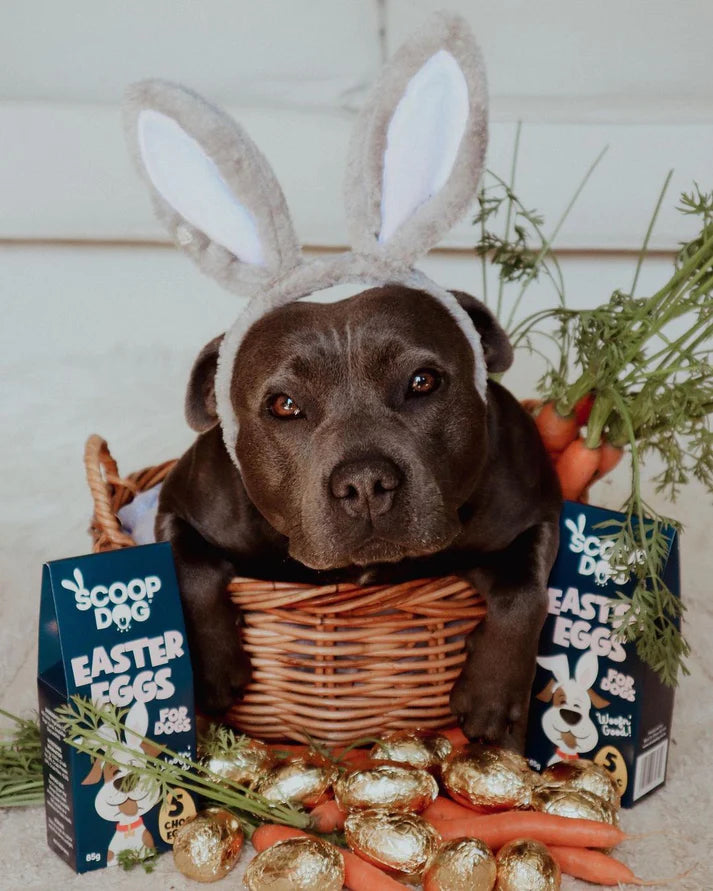 EASTER EGGS FOR DOGS