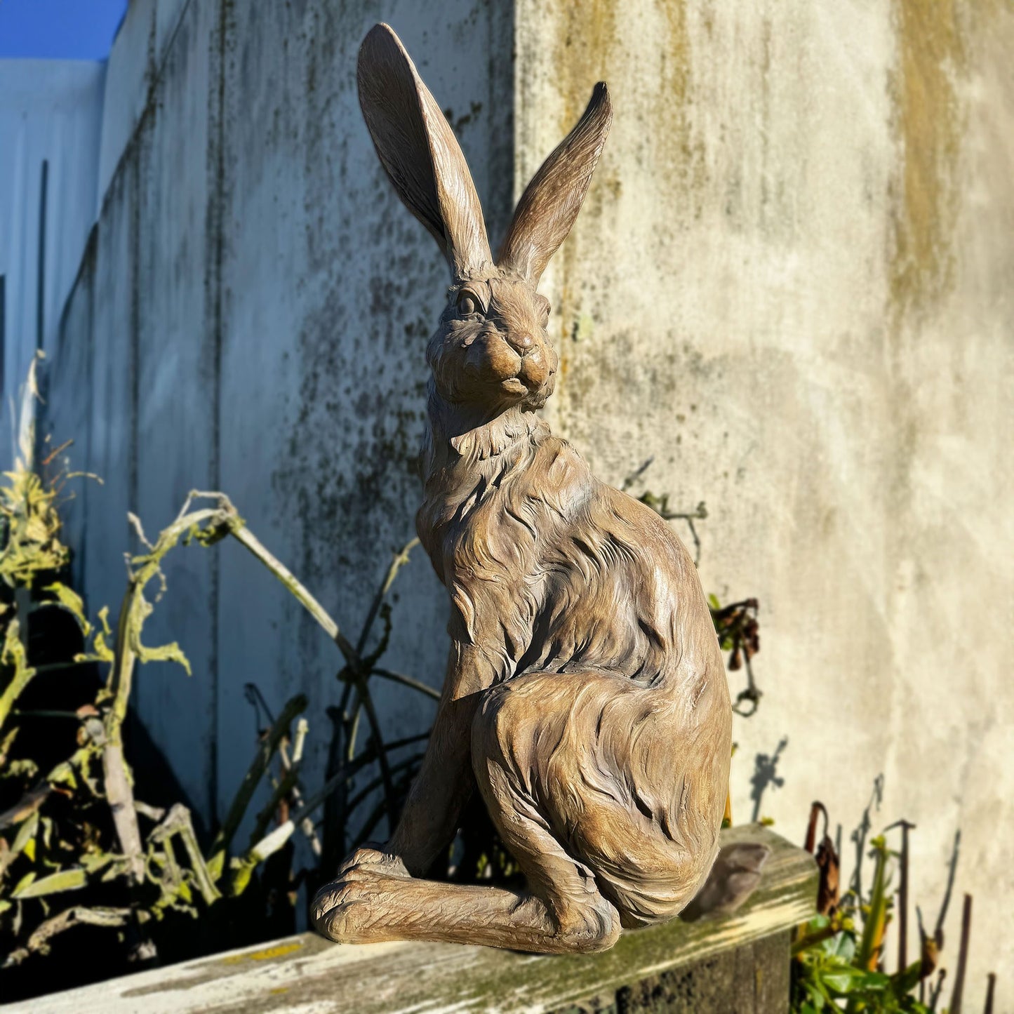 COUNTRY HARE – STANDING EARTH “WALNUT”