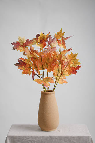 Autumnal Maple Leaves